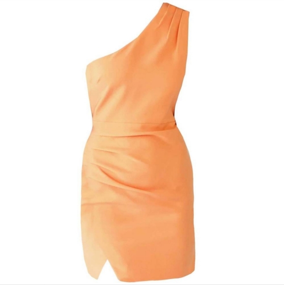 LIKELY Gonnella Dress In Birds Of Paradise Orange Size 14 NWT'S - Picture 3 of 14